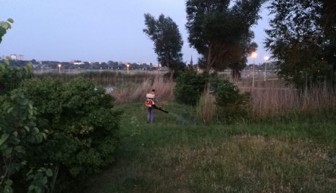 Primăria Constanța continuă acțiunile de dezinsecție - 62228245277317690937815813869534-1560239689.jpg