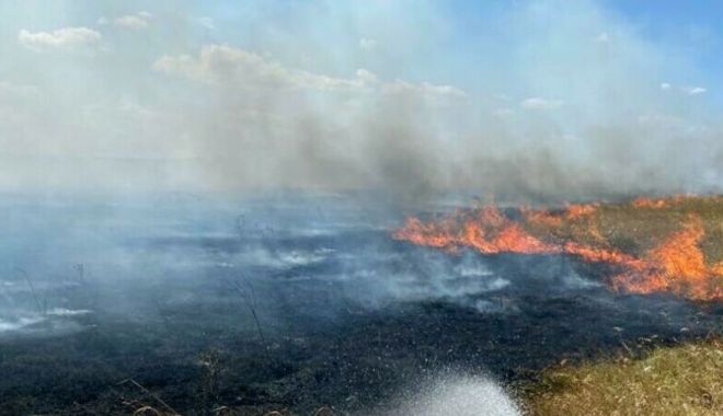 Incendiul din zona Poligonului Babadag a fost lichidat; o fermă a ars în întregime