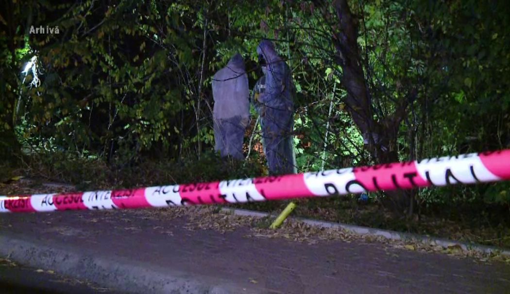 Un bărbat de 78 de ani, plecat de acasa de două zile, găsit mort într-o pădure - 62498770-1733585093.jpg