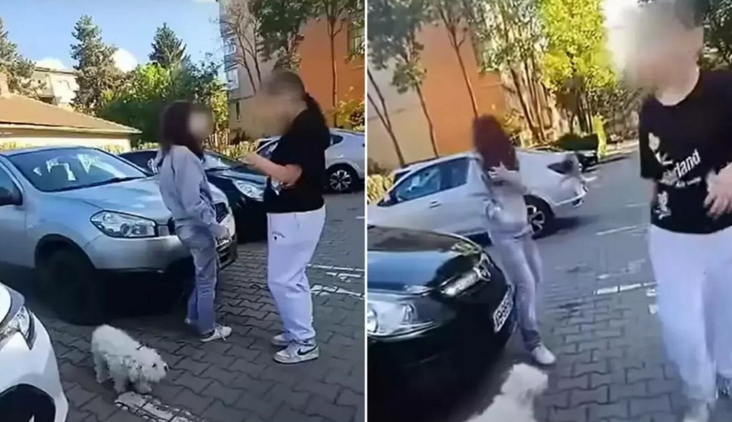 O adolescentă care îşi plimba câinele a fost bătută cu sălbăticie de o fată de 12 ani - 62540026-1746169936.jpg