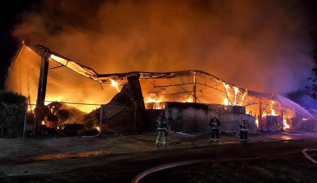 Foto - Incendiu puternic la Cogealac. Mii de baloți de paie au ars în două hale agricole