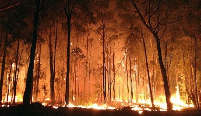 INCENDII DEVASTATOARE. Mii de pompieri și salvatori intervin în aceste momente - 646x404-1473318541.jpg