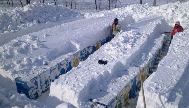 Albinele sunt în pericol, după zăpezile de săptămâna aceasta - 646x404-1521969266.jpg