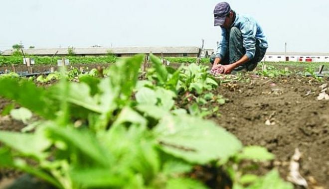 Vești proaste pentru zilieri: obligați să contribuie și ei la pensii? - 646x404-1554981793.jpg