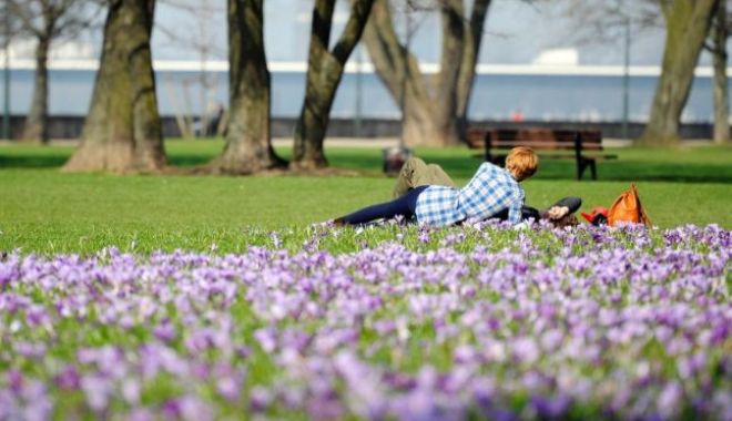 ANM: Cum va fi vremea în luna aprilie. Se anunță temperaturi scăzute și ploi - 646x4041-1554024544.jpg
