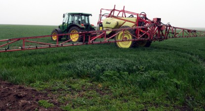 Zăpada mieilor, mană cerească pentru agricultura constănțeană - 64d299371f70132215d8cef5dc9589a1.jpg