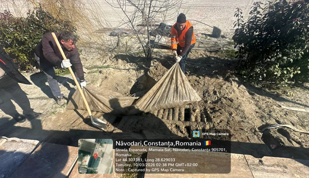 Ce s-a mai descoperit pe plajele din Năvodari! Anunțul ministrului Mediului - 65115803715205469900771176537523-1773299971.webp