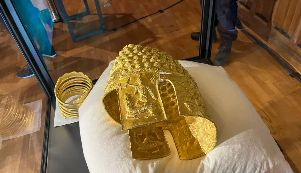 Ministrul Culturii a transmis mulțumiri Olandei pentru recuperarea coifului de la Coţofeneşti - 65910931113321325789688141721108-1775152356.webp