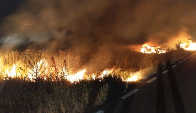 Două autovehicule au loc foc, la Constanța, în urma unui accident rutier - 65916409239871231036064872939208-1562049365.jpg