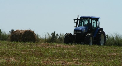 91% din exploatațiile agricole din România sunt unități de subzistență - 66d45c358a3576dd30bd5e8b30b40315.jpg