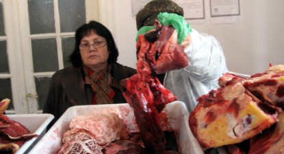 Consumatorii constănțeni sunt cei mai protejați din țară - 677cdee86af7158a3c4851c4009d5b8a.jpg