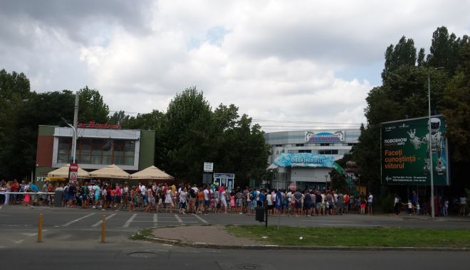 COZI DE ZECI DE METRI, LA DELFINARIUL CONSTANȚA - 68314933254041756935499169811504-1564829861.jpg