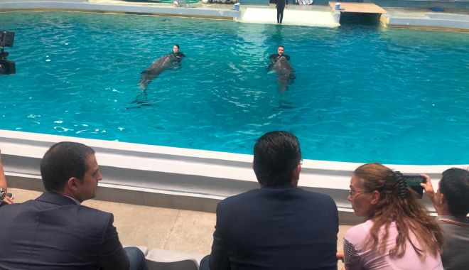 VIDEO. Ministrul Turismului, prezent la Delfinariul Constanța. Vom avea acvariu modern, delfini și lemurieni - 68635050216317788730838264354888-1565173884.jpg