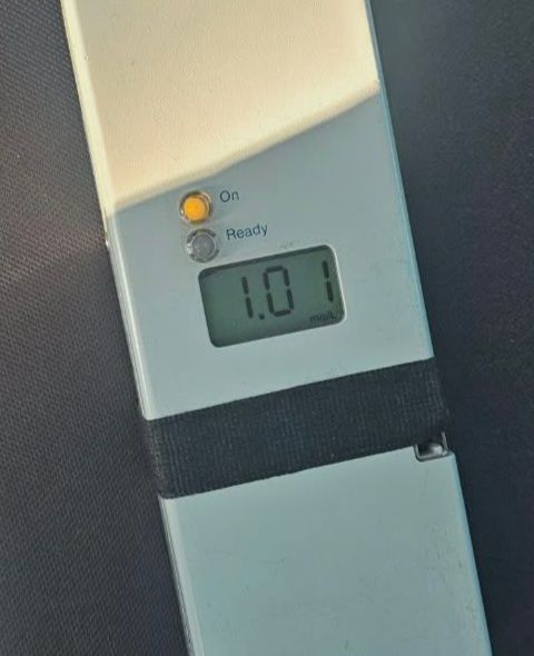 O șoferiță cu alcoolemie uriașă a pierdut controlul mașinii și a intrat într-un copac pe un drum din Tulcea - 68962859613804926174544951829084-1778059627.webp