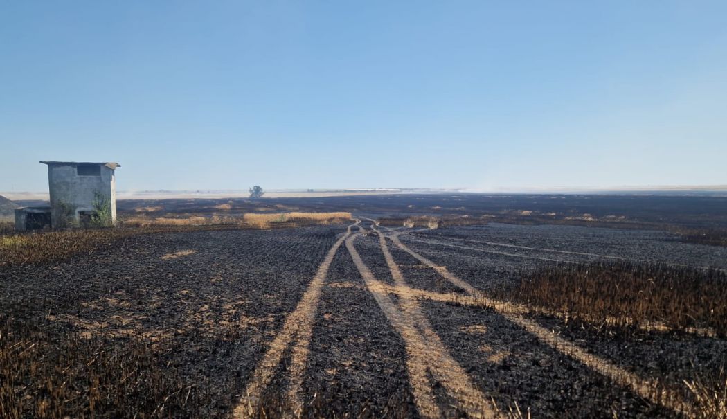 Linie fierbinte la ISU „Dobrogea”. Zeci de persoane sesizează incendii în județ - 69aae7ff91bf4f94988fe8fea19850db-1750934103.jpg