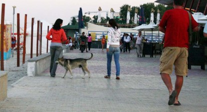 blitz - 69f0cadc7e2f0e79b31a546a1a60fe90.jpg