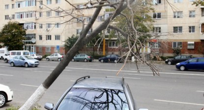 Cadeee, dă-te, bă, că cadeee… - 6a3b6ffa5dbf8a5abcad2135e5bc77d9.jpg