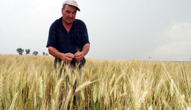 Avertizare de SECETĂ. Agricultorii dobrogeni încă așteaptă ploaia - 6b10bde7e3113dbf417c0696008ae9d9-1350381100.jpg