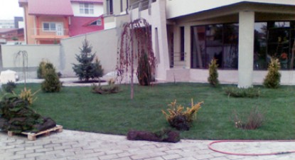 Alegerea gazonului (2) - 6b21f04e6513bf4ee0be04f57cdda6e1.jpg
