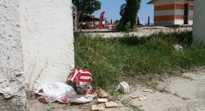 Mizeriile Constanței - 6e46c13ed39fe5d1af9985e17d98b28a.jpg