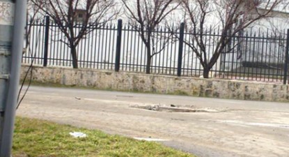 Firma de salubrizare din Costinești, acuzată că extermină animalele fără stăpân - 6edac638a51992d47a90626eb0a96802.jpg
