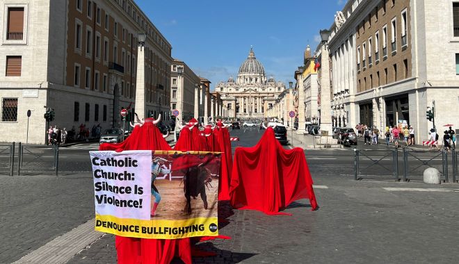 Activişti pentru drepturile animalelor i-au cerut papei Francisc să condamne coridele - 6plwkrqwabiexgzktqfqgn262m-1690558350.jpg