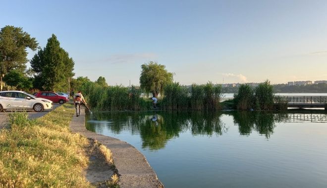 Continuă acţiunile de dezinsecție în municipiul Constanța - 7-1625828085.jpg