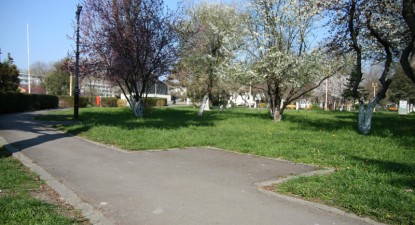 Cimentăm sau plantăm? - 726f32a8f12dba5a262210ef4f51f1b6.jpg