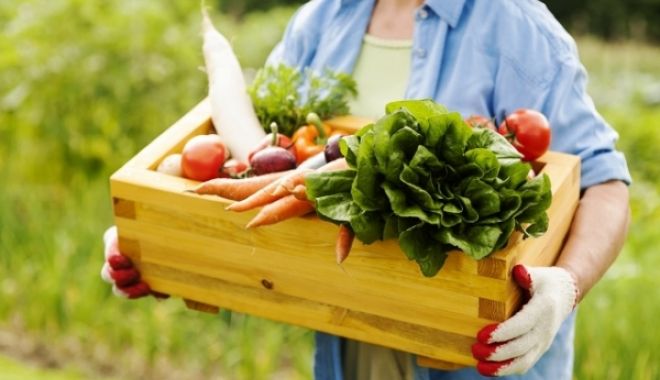 Viorica Dăncilă anunță reducerea TVA de la 9% la 5%. Iată categoria de alimente - 751189t7yfmsvgp75118-1557838291.jpg
