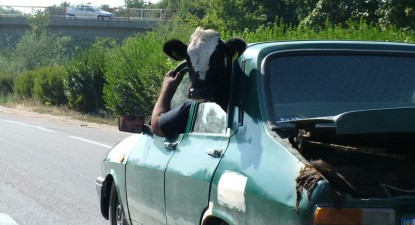 Țăranii s-au emancipat – și-au vândut căruțele și s-au pus toți pe șofat - 76069877da8f1384cce3ca8826982c1a.jpg