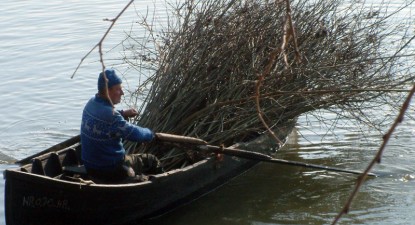 Facem focul ca acum o sută de ani: cu coceni și bețe de floarea soarelui - 771ccb8076f1e0267f2497c2c9b2ddb1.jpg