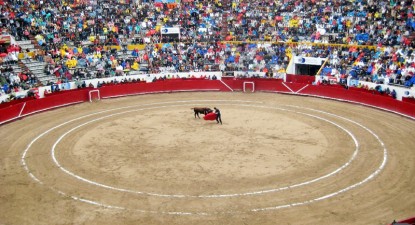 Primul taur clonat este gata de coridă - 77d8b041c3eb7a9860a23f1a72c95f3b.jpg