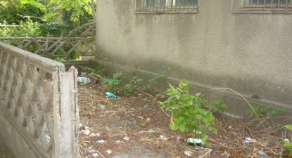 Mizeriile Constanței - 793e53d5beb683cc5d4b8b6a9efa330a.jpg