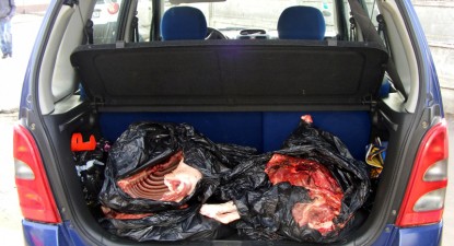Arestați pentru că vânau ilegal mistreți - 7e97d66f2838c18200788809bbadff71.jpg