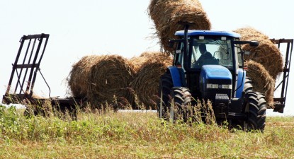Camerele agricole, aceeași Mărie cu altă pălărie - 7f9cd351d41d602f8ce607d8fa828270.jpg