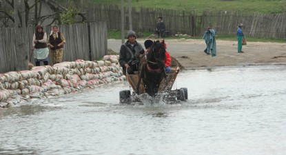 Apele umflate ale Dunării au inundat curțile și grădinile de pe malurile fluviului - 80f7ed32a1d3ccc208b1d2c77d0ea9f4.jpg