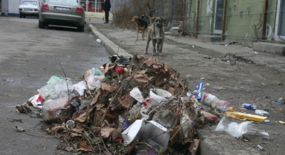 Mizeriile Constanței - 8210ada0dd78f09fa6f32f9f69c842b5.jpg