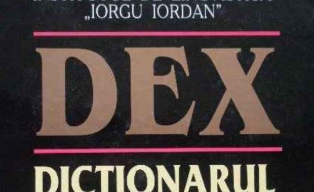 Academia Română nu a convenit încă forma în care va modifica, în DEX, sensul cuvintelor țigan și jidan - 829960dex4-1316589492.jpg