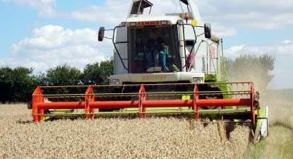 Producția agricolă este la jumătate din estimări - 850c780578b818202fdb7e8840b479a1.jpg