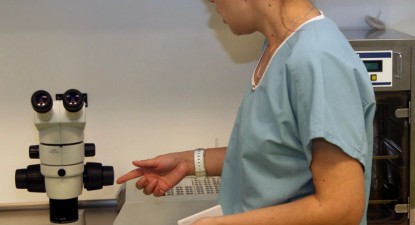 Se dă startul la fertilizarea in vitro pe banii statului - 85ed1bdfed77d0791857ee92e4adf734.jpg
