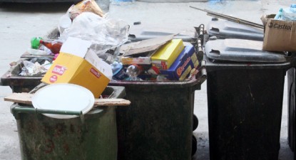 Pubele de gunoi înfipte în  