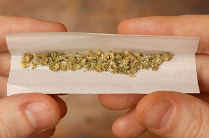 Rețea ce distribuia cannabis consumatorilor din Constanța anihilată de procurorii DIICOT - 86970cannabis415x275-1350913171.jpg