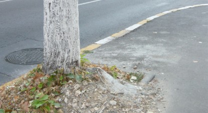 Mizeriile Constanței - 876dcde308d3410fbdb2bfefc5ffea06.jpg