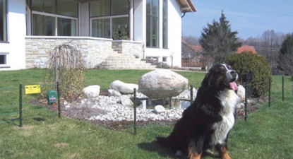 Veterinarul pe recepție - 87f7f8f823a0bc9edecdf4c22aa2007a.jpg