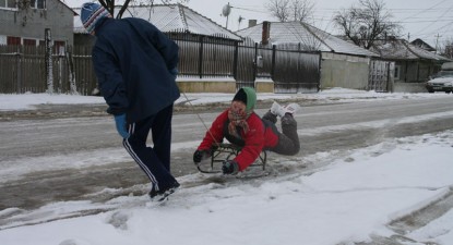 Cod galben de ninsori și polei în Dobrogea - 888543d1af6e727f62bc59b2c4c03ea9.jpg