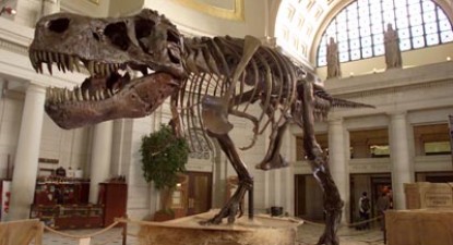 Fosilele unui dinozaur rar, vechi de 110 milioane de ani, descoperite în Canada - 8991a07a45fc5da273dba1b6ecd23f4a.jpg