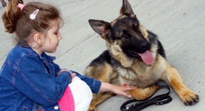 Patrupezii care apără Constanța - 8a39b68e7dadd5253cc665be50a164ca.jpg