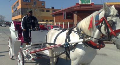 Turiștii au dispărut din Mamaia - 8b4e1845b38e603d9c6a2cb240c13123.jpg