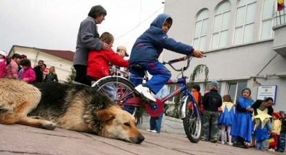 Mușcătura de căpușă vă îmbolnăvește de 