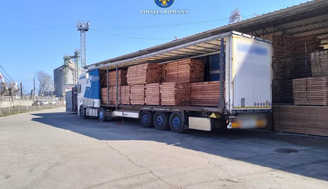 Transport ilegal descoperit în Portul Constanța. Peste 30 de metri cubi de cherestea, confiscați - 8c9dcd09448e4147a5d1b18e933b9c42-1773314130.webp